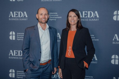 AEDA Business Summit