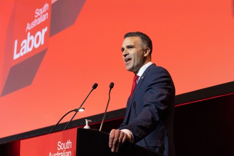 Labor pain as party tells Premier to ditch legislation