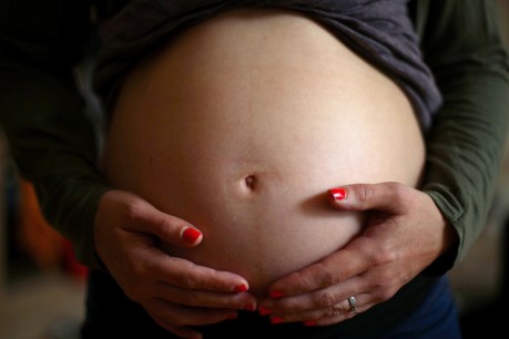 Pregnant pause: SA’s declining birth rate