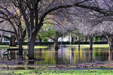 Adelaide weather to ease after weekend drenching