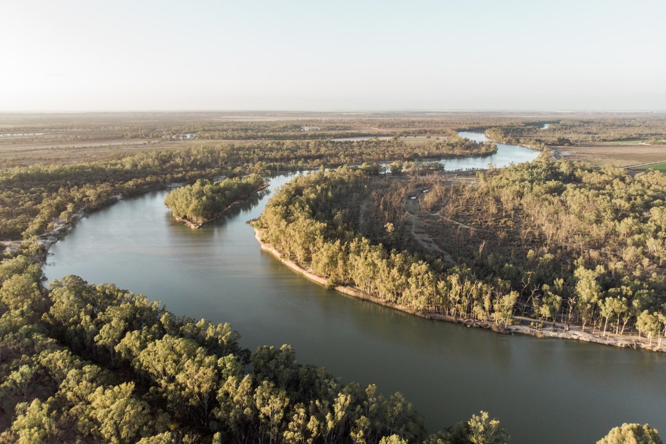 Industry groups have welcomed the creation of a Commissioner for the River Murray in the latest budget. Photo: Zac Edmonds