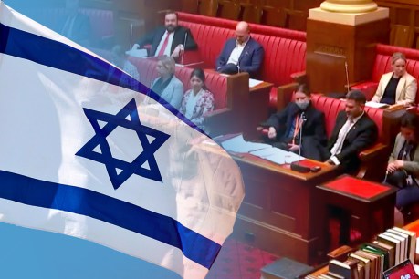 Upper House recognises antisemitism definition