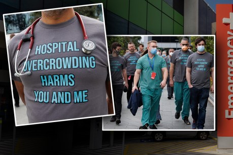 ‘Cry for help’: RAH ED doctors protest system breakdown