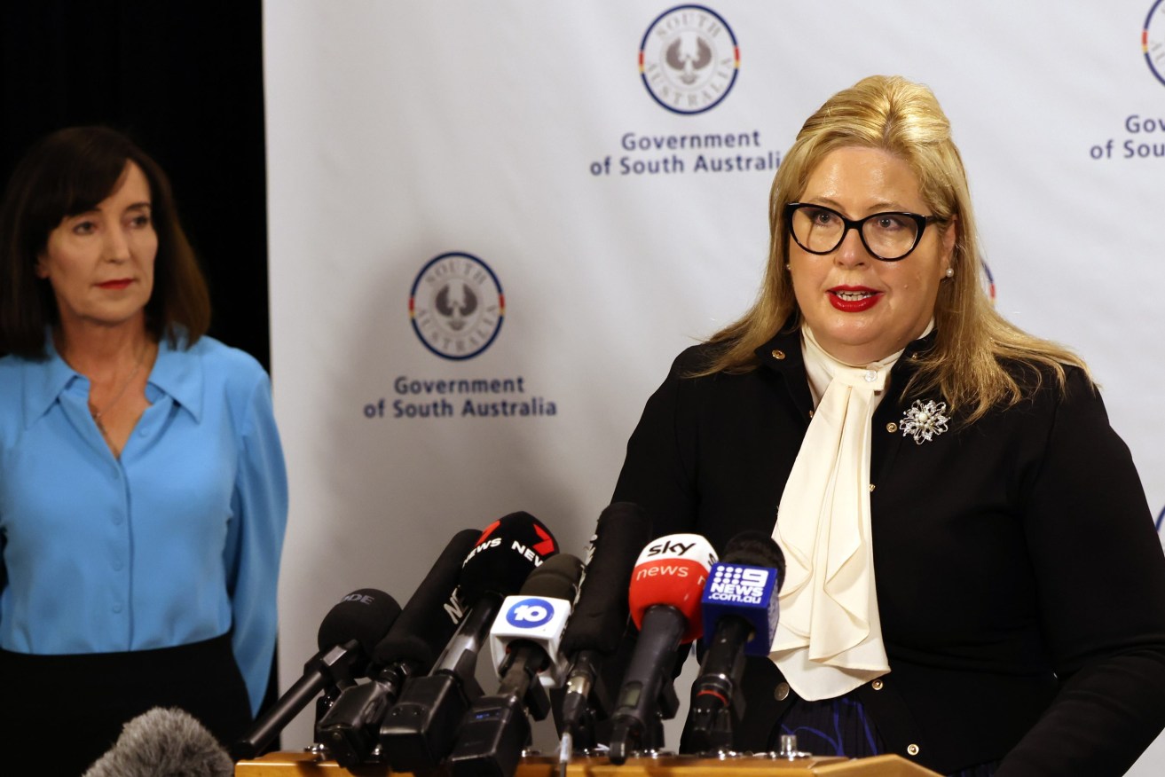 Minister for Women and the
Prevention of Domestic and Family Violence Katrine Hildyard. Photo: Tony Lewis/InDaily