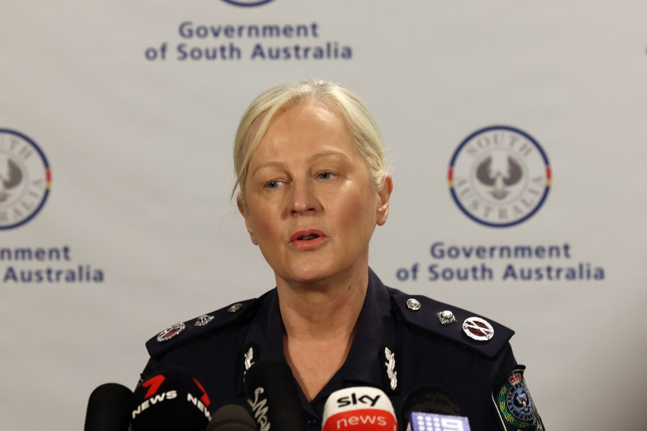 Deputy Commissioner Linda Williams at a press conference this morning. Photo: Tony Lewis/InDaily