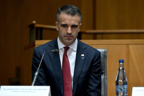 Malinauskas to push for federal-funded pandemic leave to return