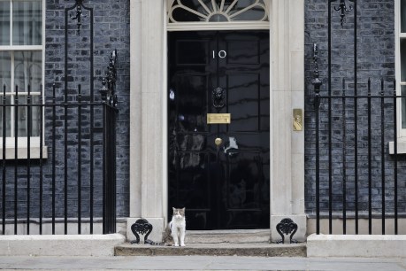 New UK PM to be announced on September 5