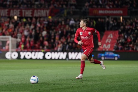 Who will stay, who will go at Adelaide United?