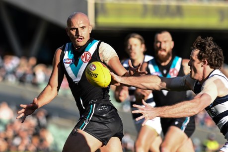 Home ground gallery: The best shots from Port v Geelong