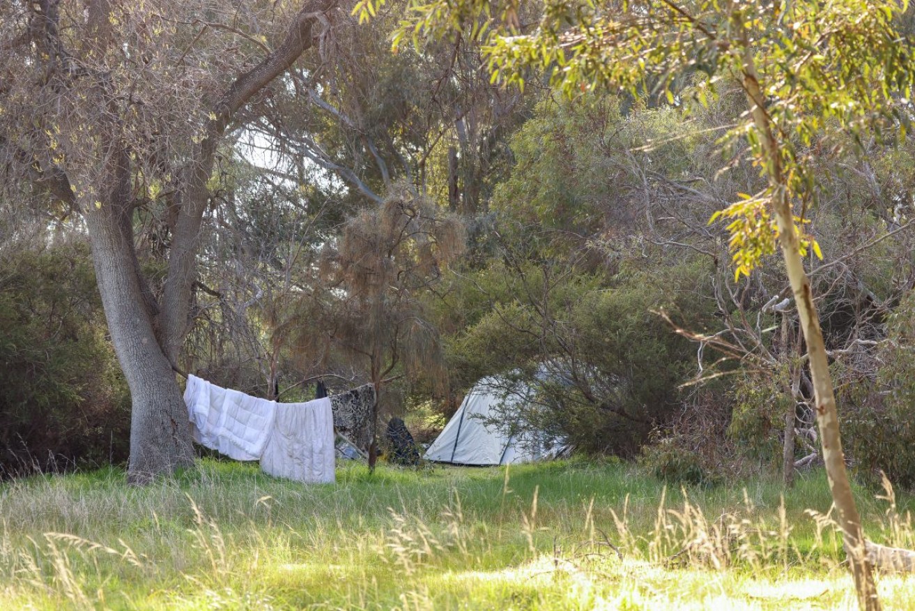 A tent in the southeastern park lands. Photo: Tony Lewis/InDaily