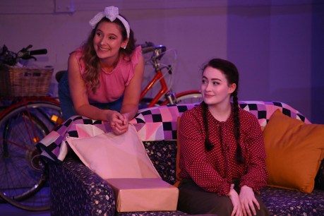 Theatre review: Di and Viv and Rose