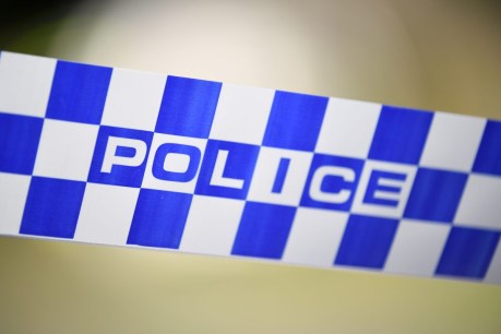 Gunman on run after mass shooting in Queensland