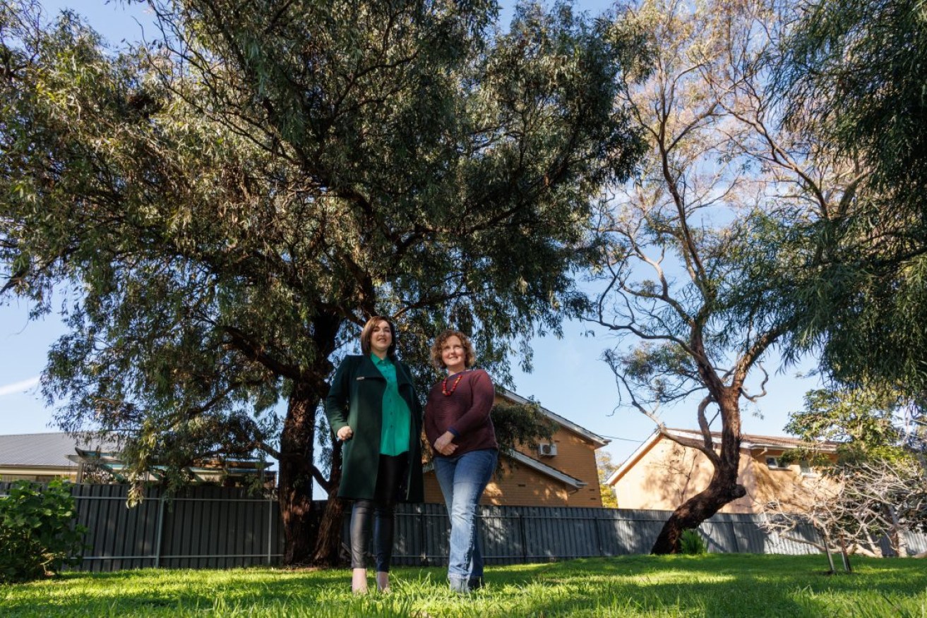 MP Jayne Stinson and resident Kate Hubmayer with two grey box trees at Black Forest. Photo: Tony Lewis/InDaily