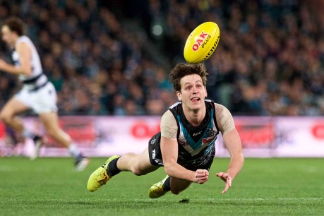 Butters backs Hinkley to stay at Port