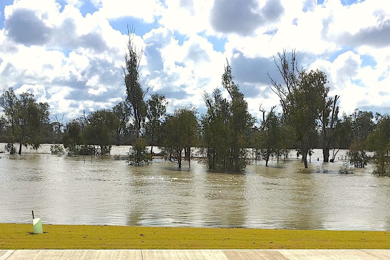 Snake Island and its bridge on the River Murray at Loxton is completely under water. Pic: Beth Huppatz