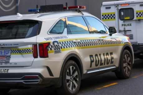 Pedestrian critical after hit-and-run at Holden Hill