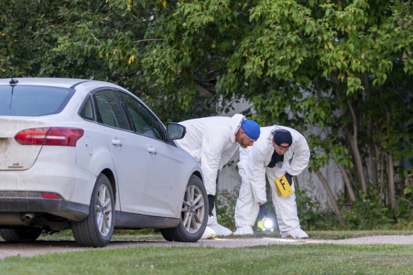 Investigators at the scene of a stabbing in Weldon, Saskatchewan. Photo: Heywood Yu/The Canadian Press via AP