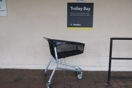 Missing shopping trolleys mystery