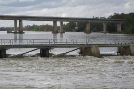 Shacks cut off as River Murray rises