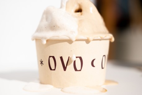 Allergy-friendly dessert bar OVO Gelato has ‘something for everyone’