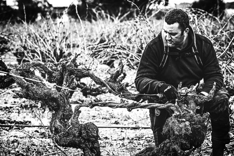 Wine reviews: How the Barossa workhorse became a hero