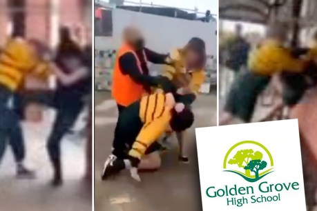 Brawl videos reveal violence issue at Adelaide school