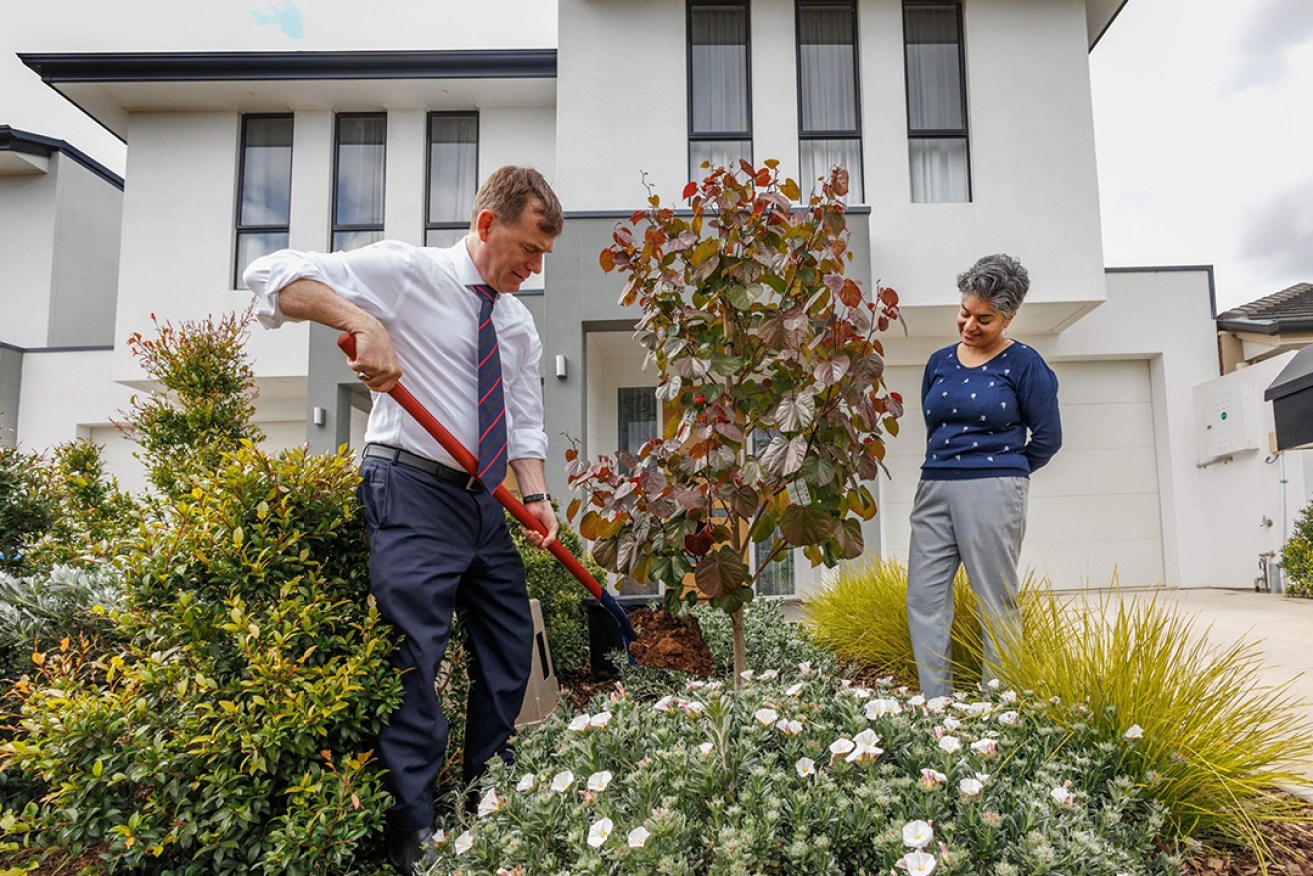 Planning and Urban Development Minister Nick Champion (left) planting a tree at a Campbelltown home. Photo: Tony Lewis/InDaily