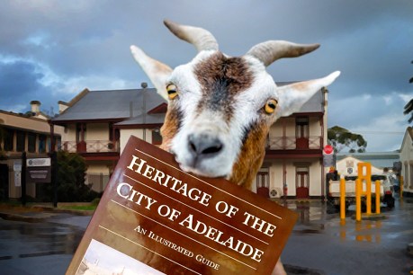 Chewing through Adelaide’s heritage