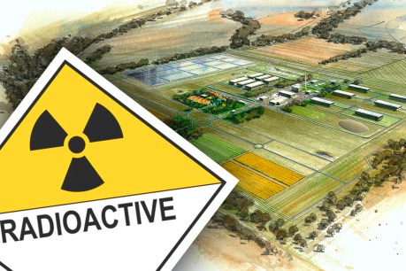 Criticism over site works for SA nuclear waste dump