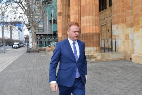 Adelaide tax office whistleblower a ‘hero’ not a villain