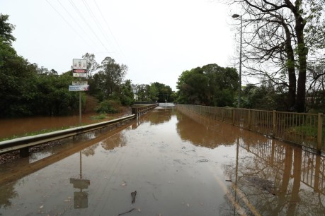 Body found in NSW flood emergency