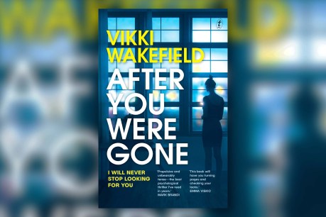 Book review: After You Were Gone