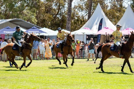 A day of polo, but not as you know it