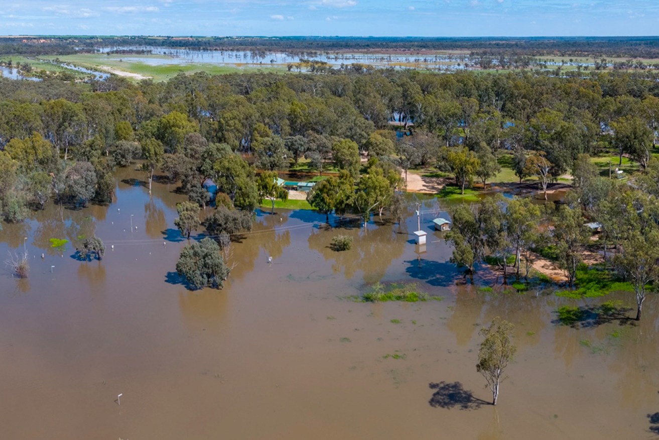 The River Murray is already flooding part of  Loxton Riverfront Holiday Park. Photo: Murray River Pix