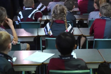 New SA maths strategy flagged after NAPLAN results