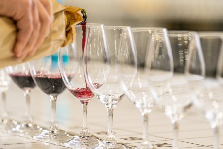 Royal Adelaide Wine Show winners announced