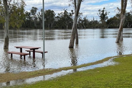 Warning to upstream states as River Murray rises