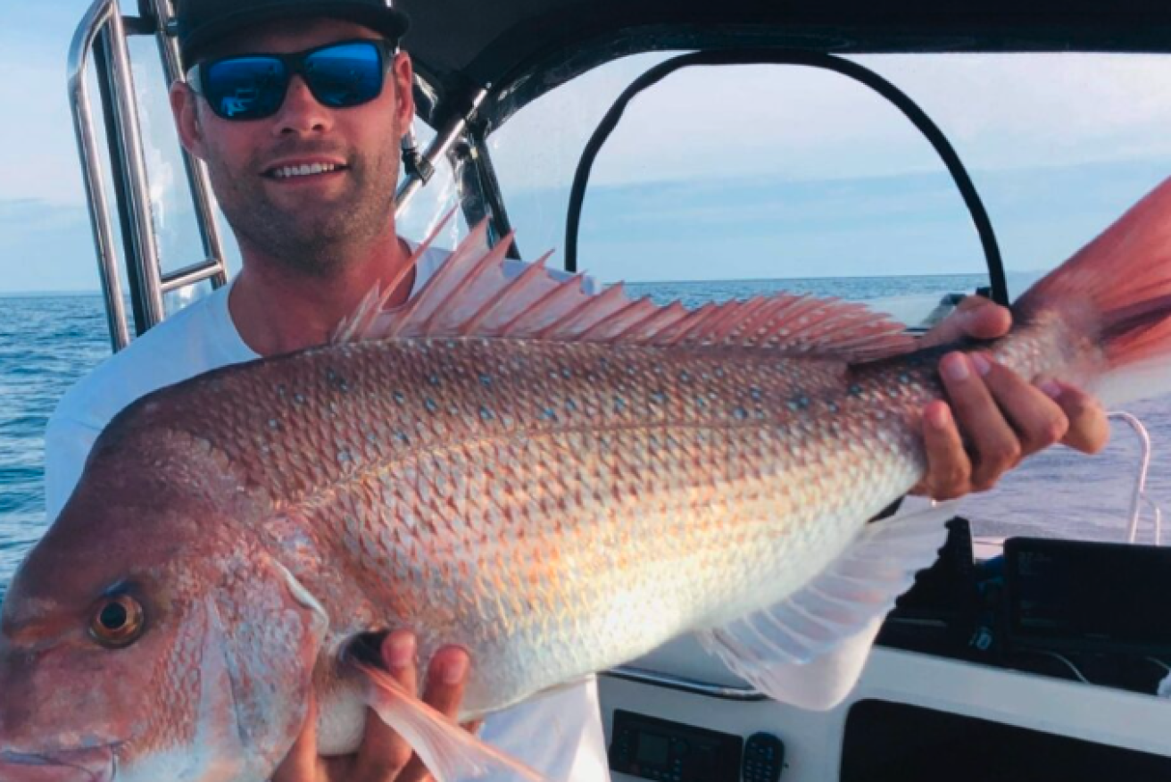 RecFish SA is now the peak body to advise on SA policies like snapper fishing. Picture: RecFish SA