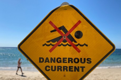 Call to review beach safety signage to prevent drownings