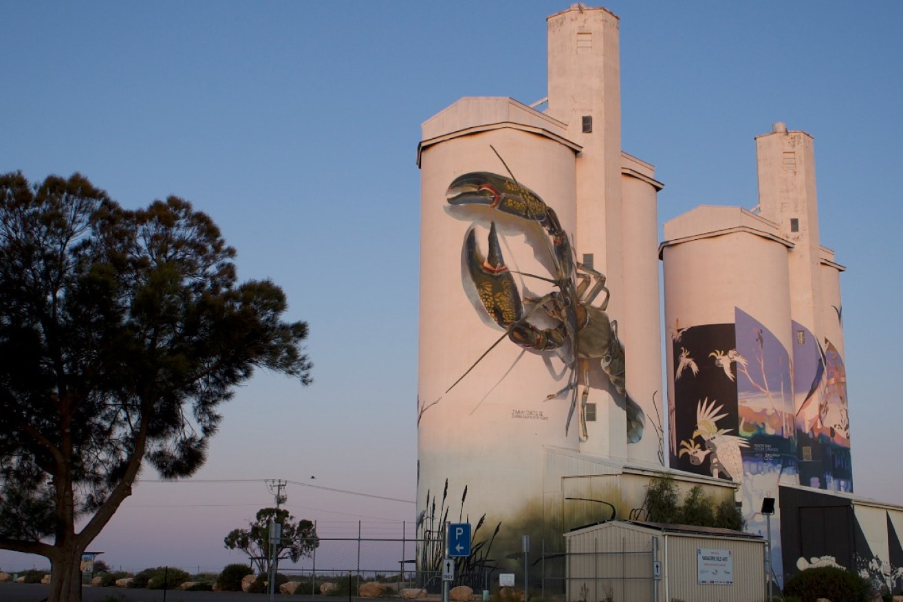 The new silo art in Wakerie. Photo: Lara Pacillo.