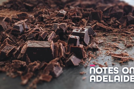 Notes on Adelaide podcast: Making better chocolate