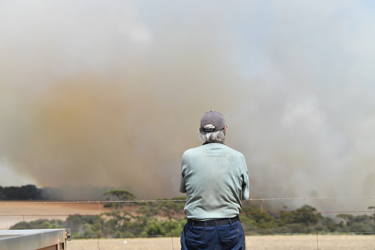 A farmer watches as fire sweeps through Stokes Bay on Kangaroo Island in January 2020. Photo: David Maruiz/AAP 