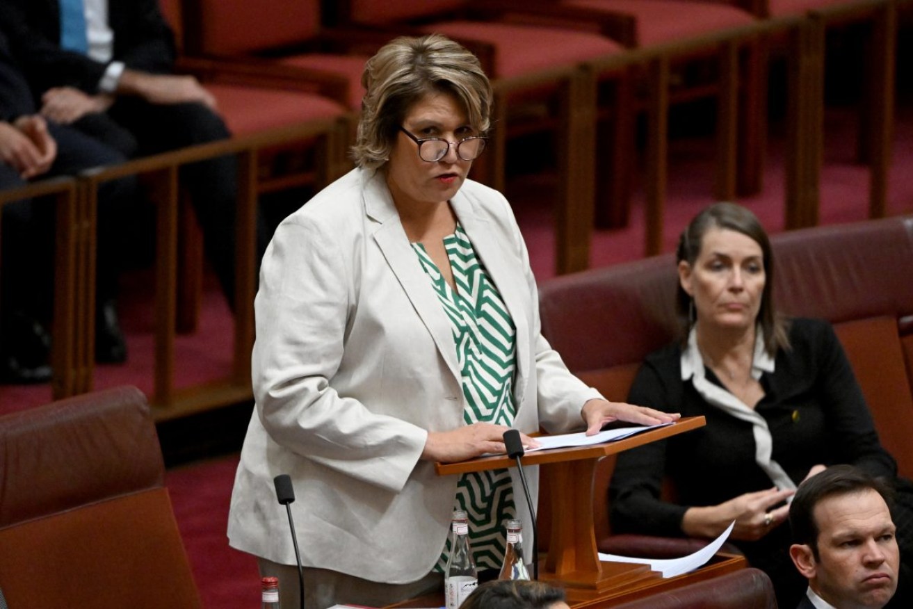 South Australian Liberal Senator Kerrynne Liddle. Photo: Mick Tsikas/AAP