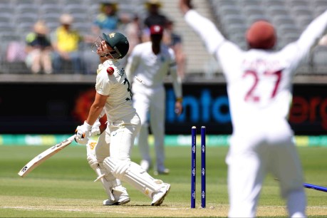 Australia in control after Warner goes cheaply