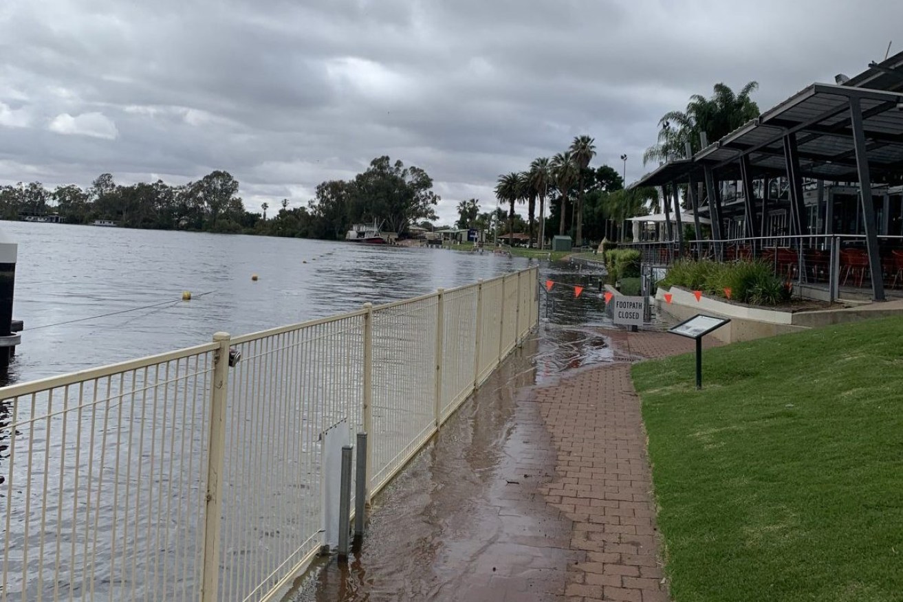 High water flows at the Renmark foreshore in late November. Photo: Jason Katsaras