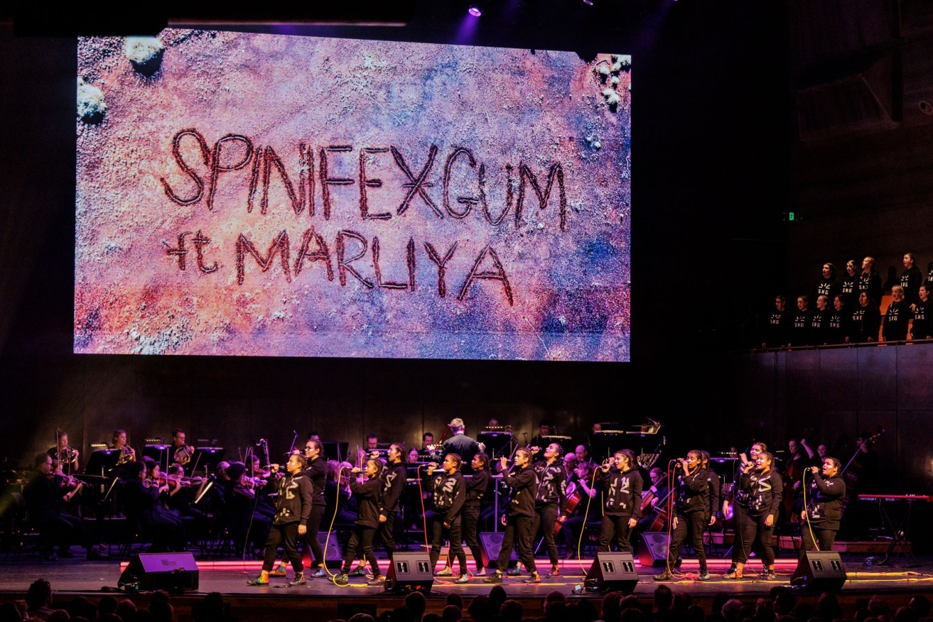 Spinifex Gum (pictured here with the Melbourne Symphony Orchestra) will present a free outdoor concert in Elder Park with the Adelaide Symphony Orchestra. Photo: Mark Gambino
