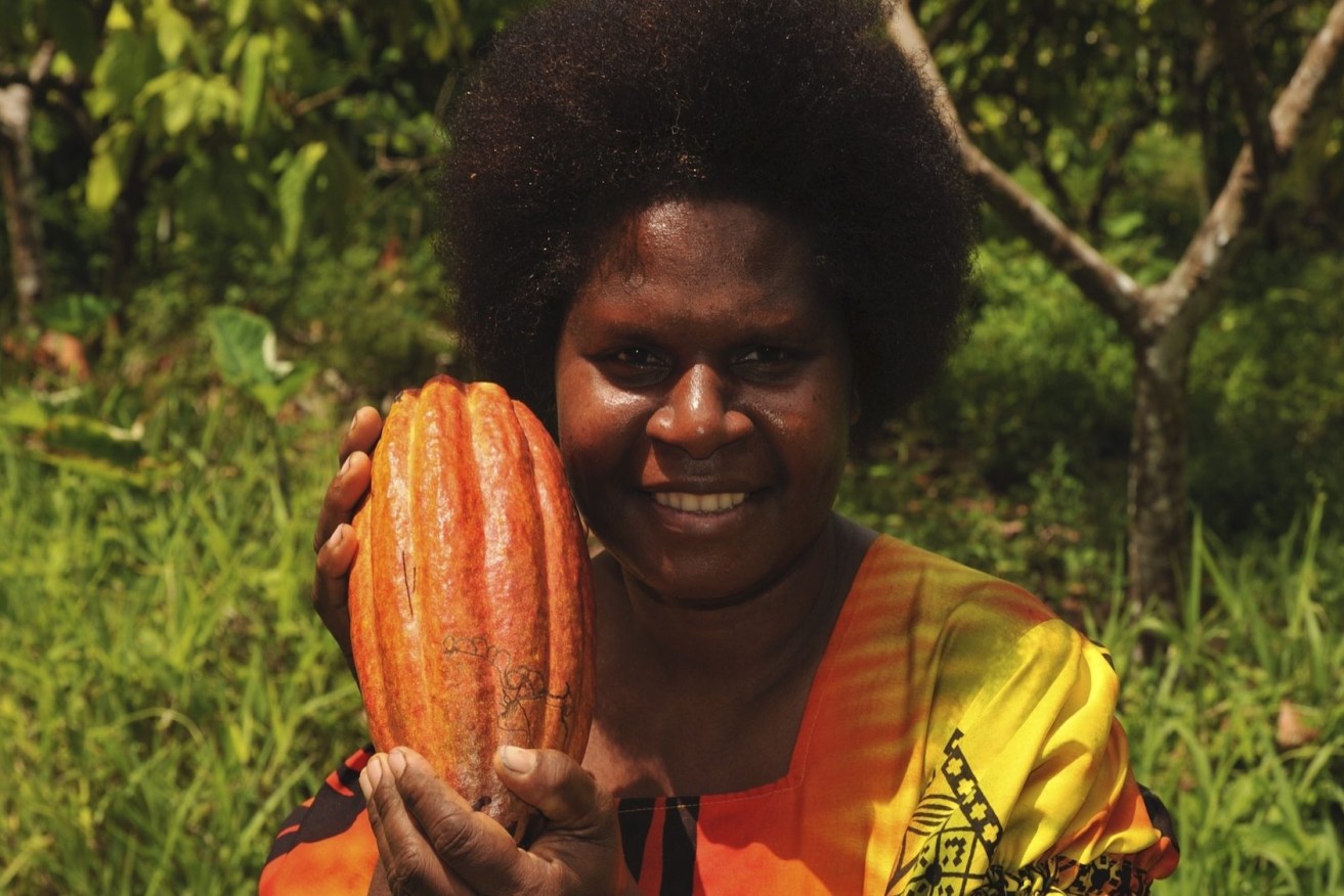 Cocoa bean farmer in Vanuatu. Photo: Centre for Global Food and Resources