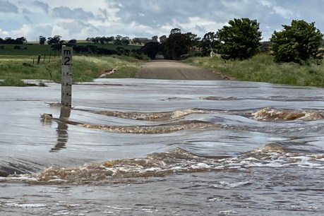 Heavy rains prompt flood warnings across SA