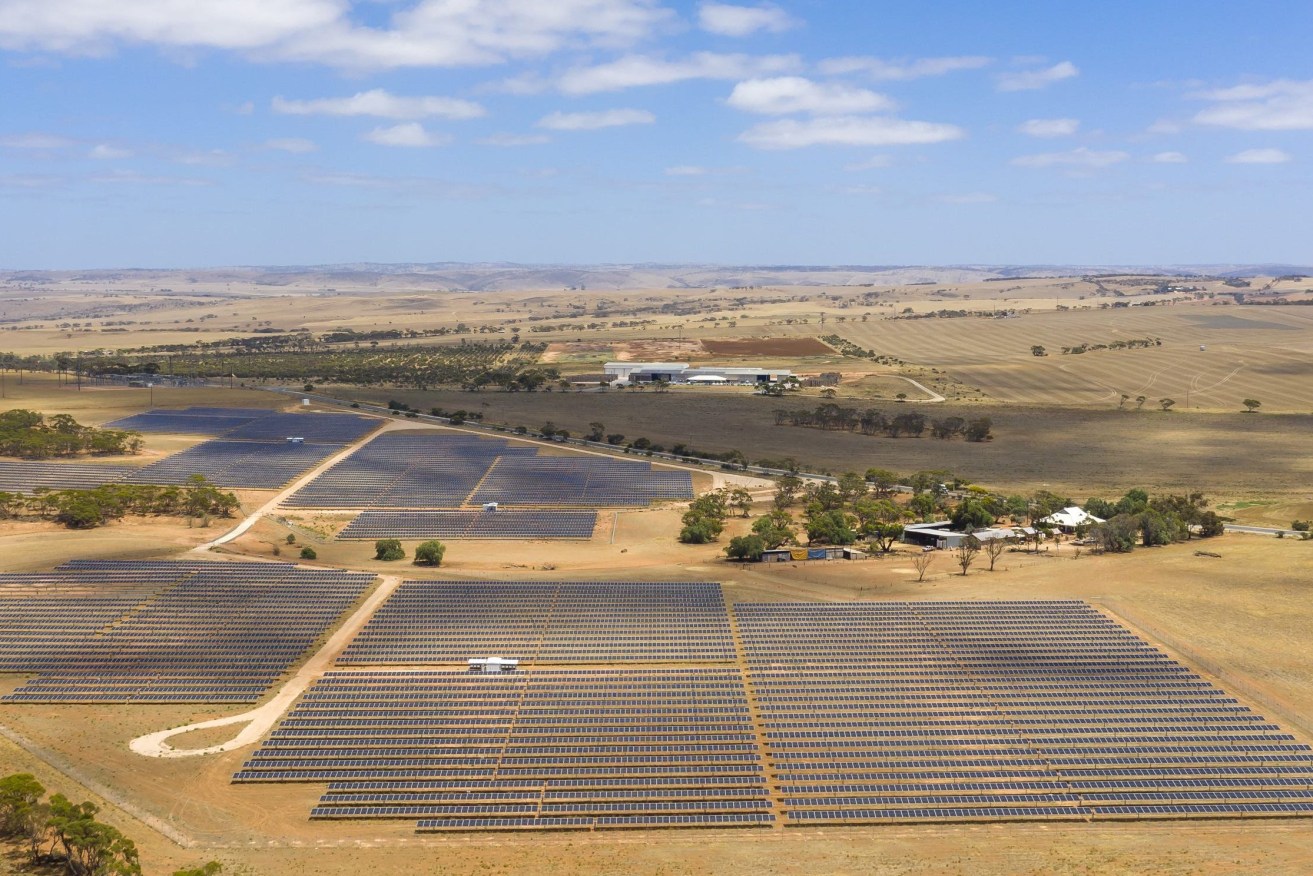 Mannum Solar Farm Stage One. Photo: supplied