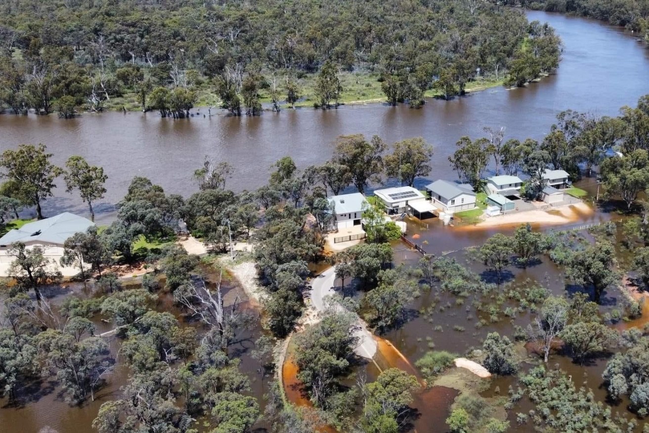 River Murray flood waters at Morgan about 35km from Murbko. Photo: Vicki Crawford 